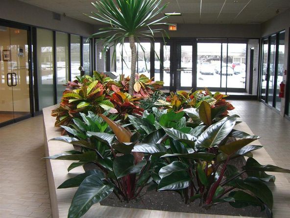 WIFI Corporate Center: 1400 S Wolf Road, Wheeling, IL 60090